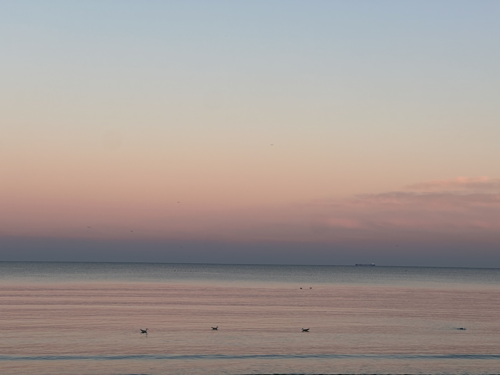 La Mer Noire en rose